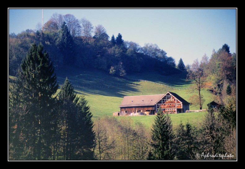 25 Typische Landschaft